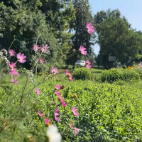 Історія однієї з основних східних магістралей міста Прилуки, яка мала 5 назв