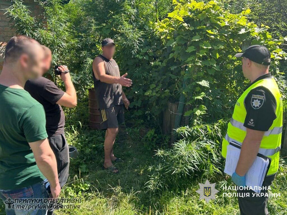 Поліція викрила жителя Прилуччини: вирощував коноплі та зберігав вдома наркотики