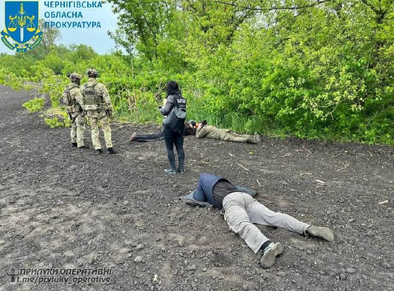 На Ніжинщині судитимуть групу «чорних» лісорубів: напиляли на 4,4 млн грн
