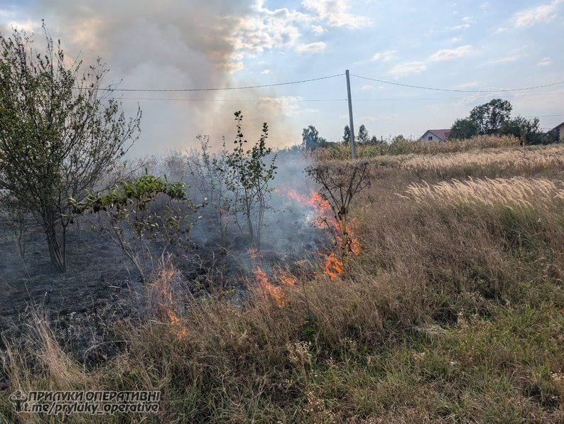 У селі на Прилуччині горіла суха трава