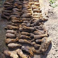 70 боєприпасів часів Другої світової війни виявили на Прилуччині