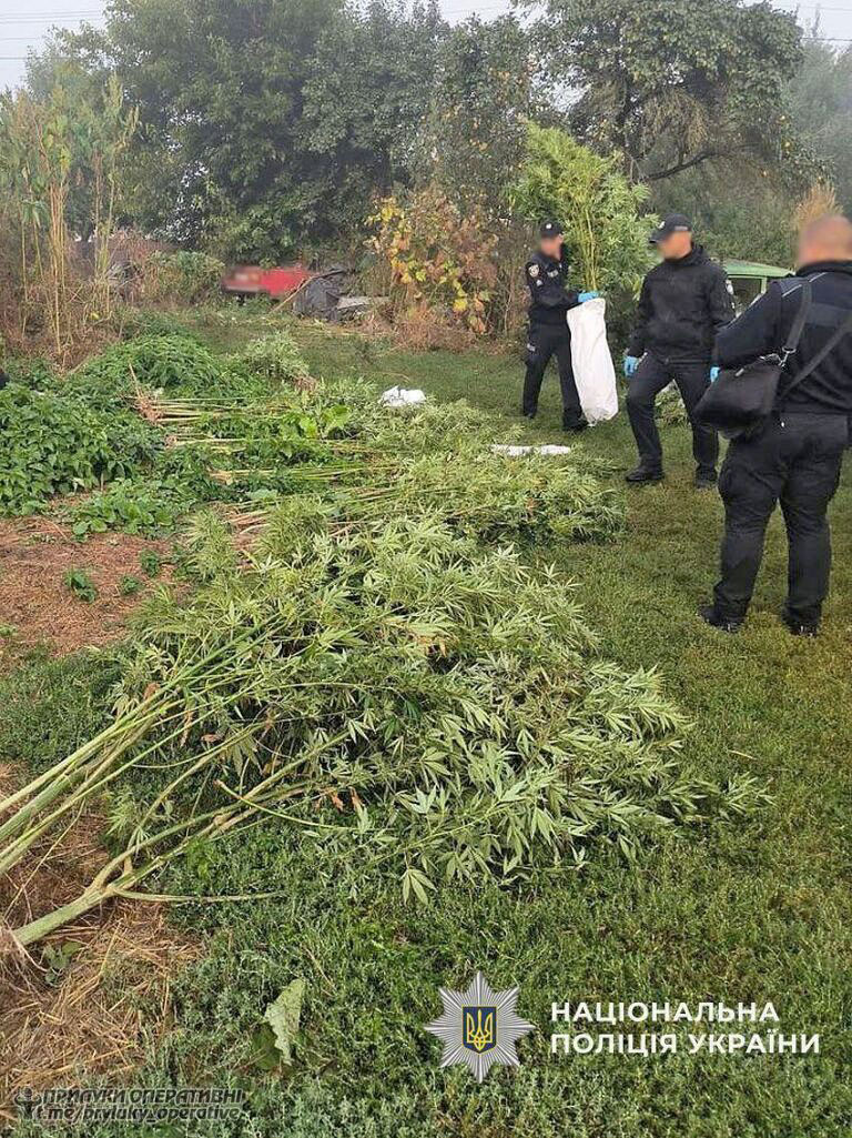 Вилучили зброю, наркотики та боєприпаси: в 4 районах Чернігівщини викрили підозрюваних