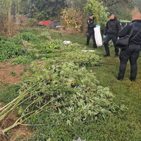 Вилучили зброю, наркотики та боєприпаси: в 4 районах Чернігівщини викрили підозрюваних