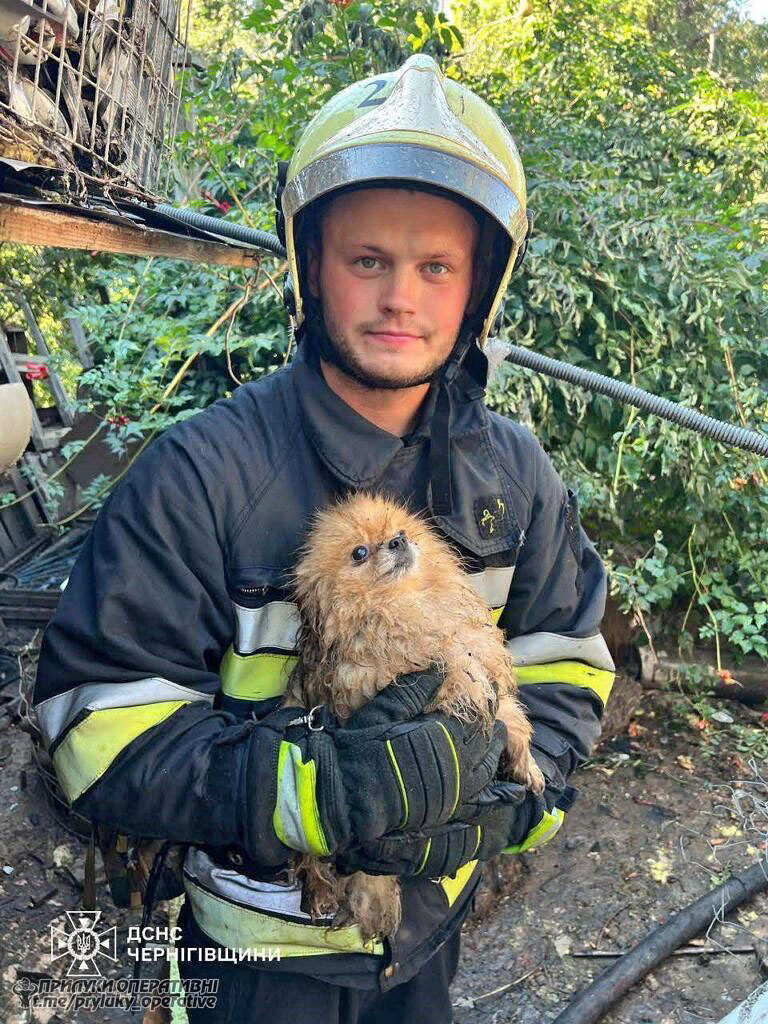 На Чернігівщині під час пожежі надзвичайники врятували шістьох собак