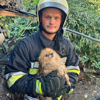 На Чернігівщині під час пожежі надзвичайники врятували шістьох собак