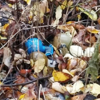 На Прилуччині біля вокзалу енергетики знайшли три гранати