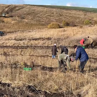 В рамках ініціативи Президента «Зелена країна» на Прилуччині заліснюють території