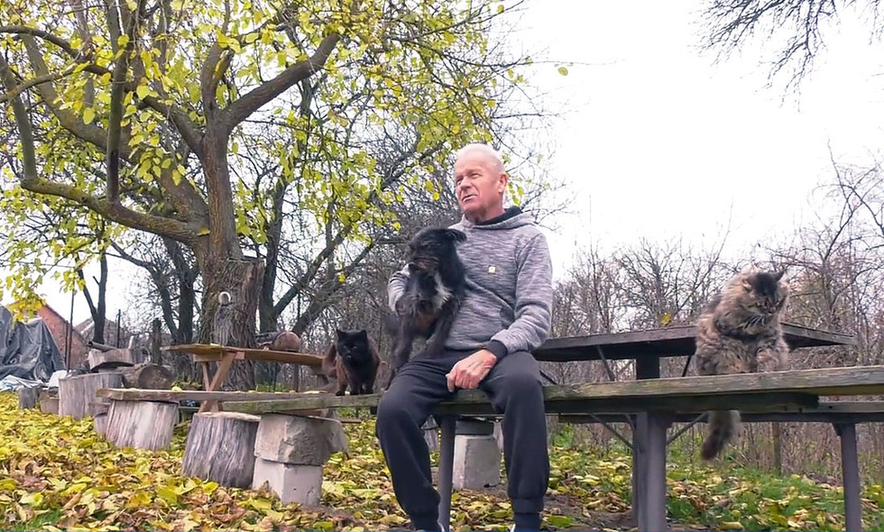 Житель Прилуччини прихистив 18 котів та собак