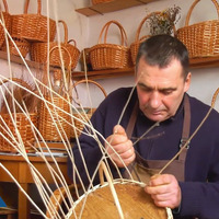 Чому на Прилуччині зникає червона лоза?