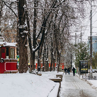 Грудень здивує українців: синоптики розповіли, якою буде погода на старті зими