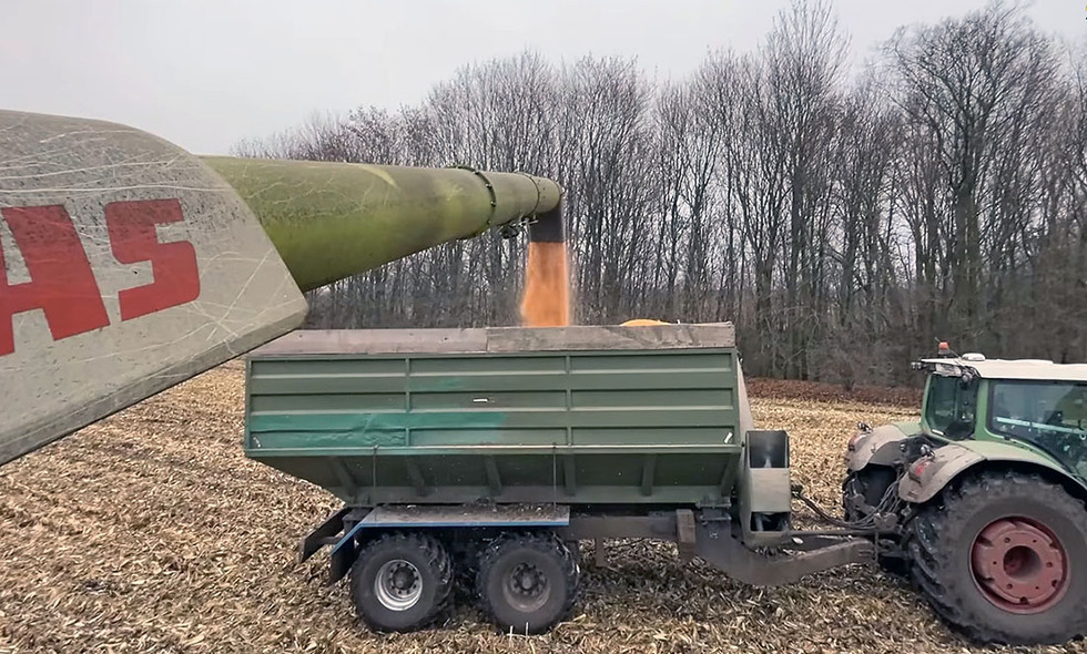 Агропідприємство з Прилуччини встановило рекорд України по врожайності кукурудзи