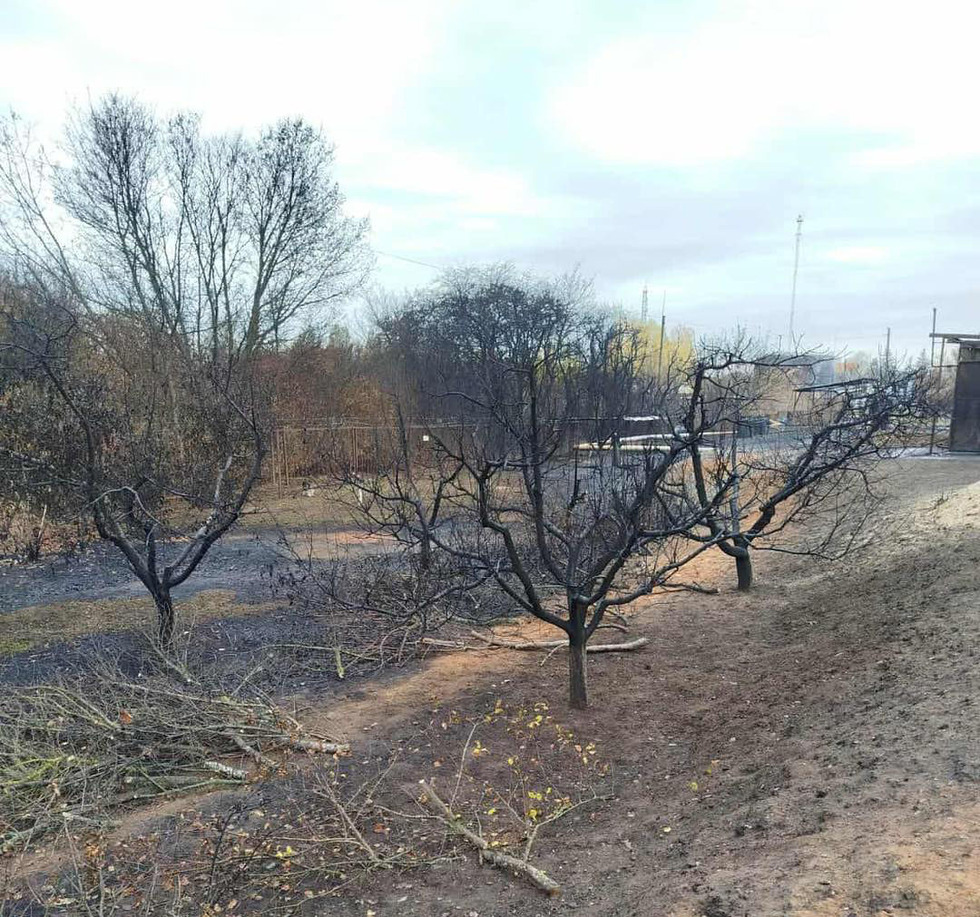 У Прилуках внаслідок атаки БпЛА завдано шкоди довкіллю на понад 3,4 мільйона гривень