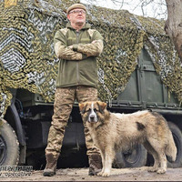 «Чілінтано» з Прилуччини піклується про фронтового пса Стінгера та знищує повітряні цілі ворога