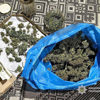 У жителів Прилуччини вилучили наркотики та гранату