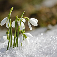Березень: погода та перехід на літній час