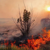 Житель Прилуцького району постраждав під час пожежі сухої трави