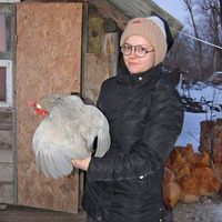 Кримчанка переїхала на Прилуччину й розводить породистих курей