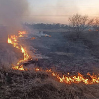 На Чернігівщині з початку року сталося понад 280 пожеж в екосистемах