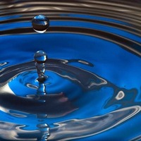 Директорка комунального підприємства завдала державі збитків на 150 тисяч гривень