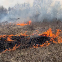 У Прилуцькому районі горіла суха трава