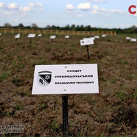 Де поховали військового з Прилуччини, який загинув у полоні, ймовірно, внаслідок катувань