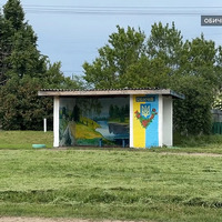 На Прилуччині місцевий житель прикрашає малюнками автобусні зупинки