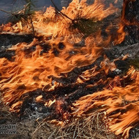 За вихідні на Прилуччині сталися чотири пожежі