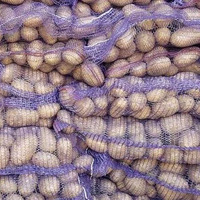 Урожайність картоплі на Чернігівщині знизилася через спеку та посуху