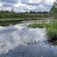 В Україні міліють річки: яка ситуація на Прилуччині